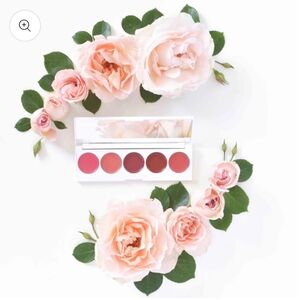 Seraphine Botanicals Rhubarb + Rose Creamy Lip & Cheek Palette 5 Color BNIB